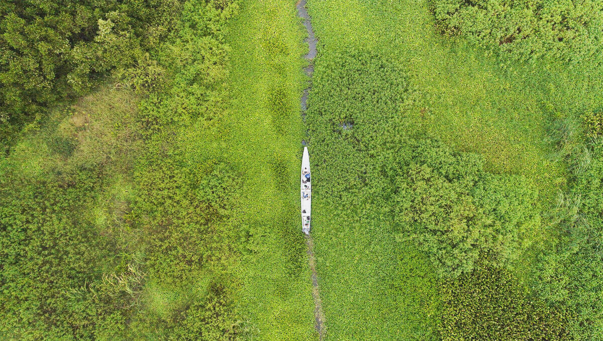 La sentencia dejó en evidencia que los playones, ciénagas y bosques sufren deterioro constante a raíz de distintas causas, y que los incendios solo eran una de ellas. Mientras tanto, hay lugares del parque que permanecen vírgenes. Foto: Óscar Güesguán