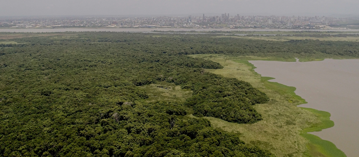 El área protegida se encuentra cercana a los municipios de Soledad y Malambo, en Atlántico; y los municipios de Sitio Nuevo y Pueblo Viejo, en el Magdalena. Foto: Óscar Güesguán