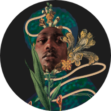 Los derechos de la naturaleza, El Espectador y Connectas.