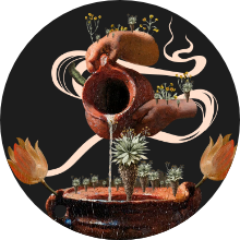 Los derechos de la naturaleza, El Espectador y Connectas.