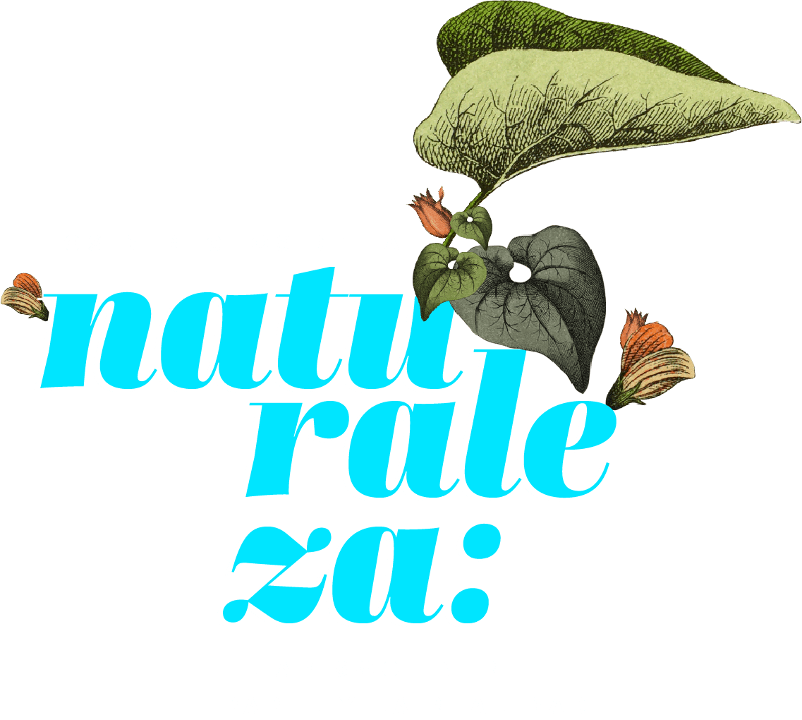 Los derechos de la naturaleza: el abismo entre el papel y la realidad. Este especial fue realizado por El Espectador y CONNECTAS dentro de ARCO, con el apoyo del International Center for Journalists (ICFJ) en el marco de la iniciativa para el Periodismo de Investigación de las Américas.