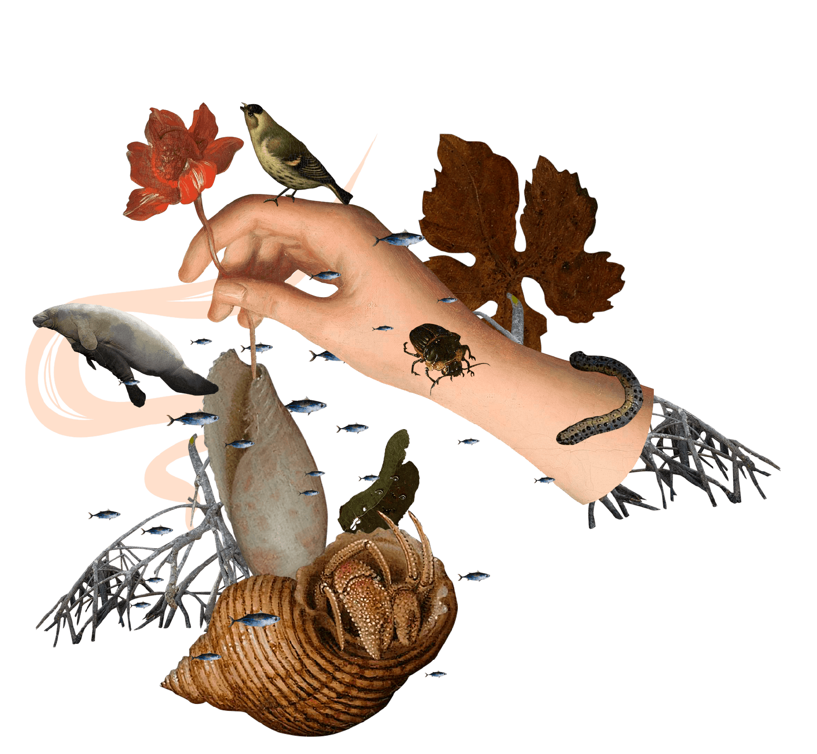 Los derechos de la naturaleza: el abismo entre el papel y la relidad. Este especial fue realizado por El Espectador y CONNECTAS dentro de ARCO, con el apoyo del International Center for Journalists (ICFJ) en el marco de la iniciativa para el Periodismo de Investigación de las Américas.