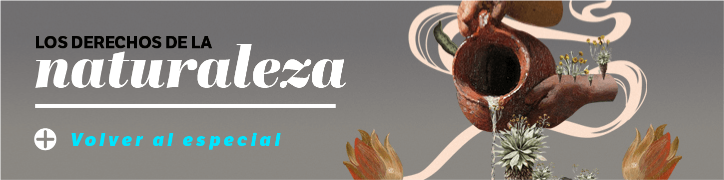 Banner Los derechos de la Naturaleza, El Espectador Connectas.