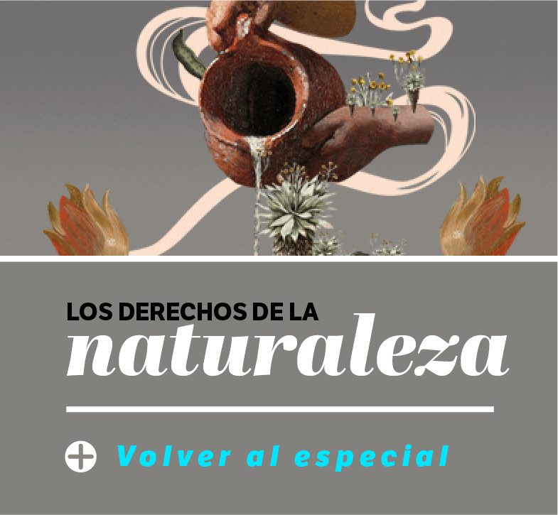Banner Los derechos de la naturaleza El Espectador y Connectas.