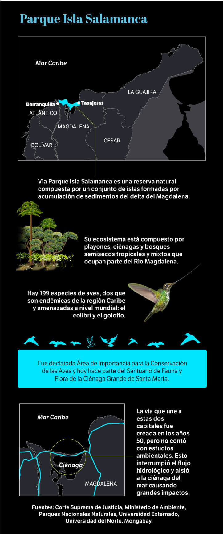 Gráfico Parque Isla Salamanca.