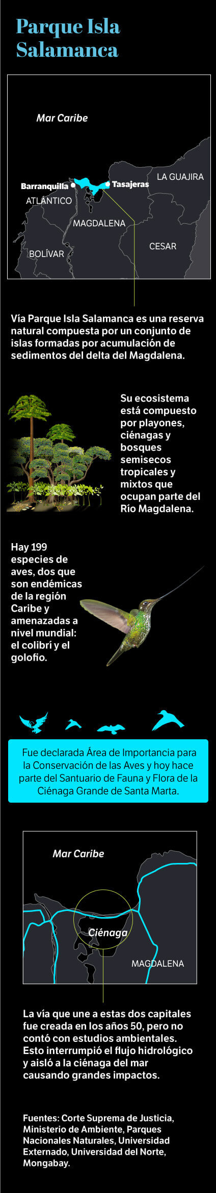 Gráfico Parque Isla Salamanca.