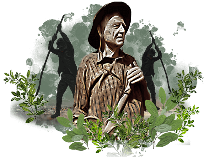 Desafíos de la sustitución de la coca